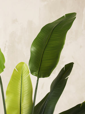 Artificial Paradise Tree Plant 160cm (W/O Pot)