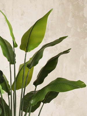 Artificial Paradise Tree Plant 220cm (W/O Pot)