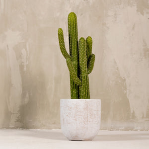 Artificial Cactus Double Plant 70cm (W/O Pot)