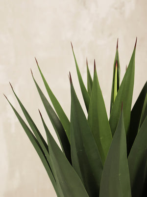 Artificial Agave Plant 100cm (W/O Pot)