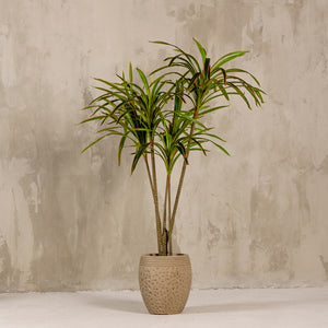 Artificial Yucca Tree 140cm (W/O Pot)