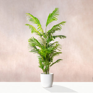 Artificial Areca Palm Tree (W/O pot)