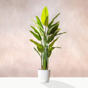 Artificial Bird Of Paradise (W/O pot)