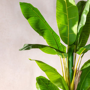 Artificial Banana Tree (W/O pot)