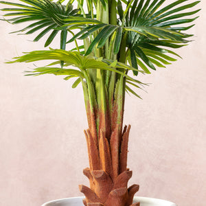 Artificial Fan Palm Tree 100cm (W/O pot)