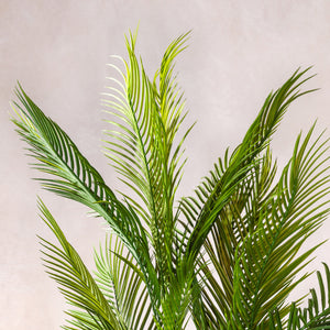 Artificial Areca Palm Tree 180cm - Tanned Cane (W/O pot)
