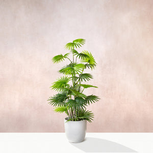 Artificial Fan Palm Tree 150cm (W/O pot)