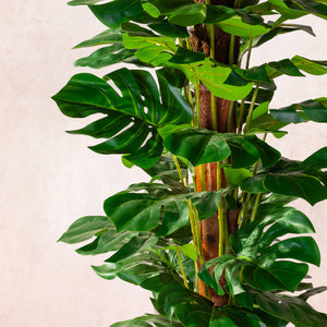 Artificial Tall Monstera Plant