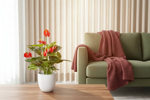 Artificial Anthurium Plant-Flamingo Flower 50cm (W/O pot)