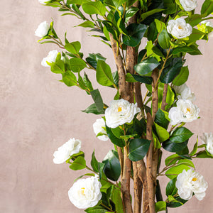 Artificial White Camellia Tree Natural Trunk (W/O pot)