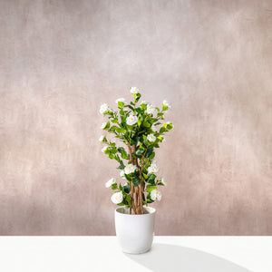 Artificial White Camellia Tree Natural Trunk (W/O pot)