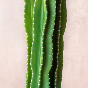 Artificial Cactus Plant 90cm (W/O Pot)