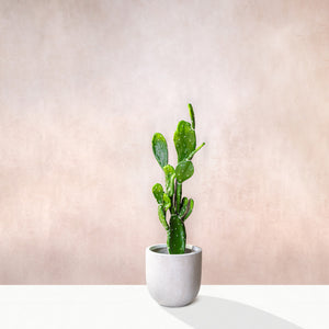 Artificial Opuntia Cactus 90cm (W/O Pot)
