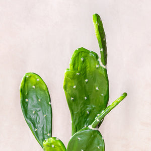 Artificial Opuntia Cactus 90cm (W/O Pot)
