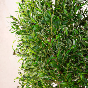 Artificial Olive Tree Natural Coffee Trunk (W/O pot)