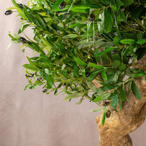 Artificial Olive Tree Natural Coffee Trunk (W/O pot)