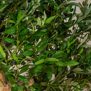 Artificial Olive Tree Natural Coffee Trunk (W/O pot)