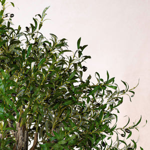 Artificial Handmade Bended Olive Tree 210cm (W/O pot)