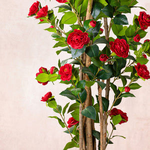 Artificial Red Camellia Tree (W/O pot)