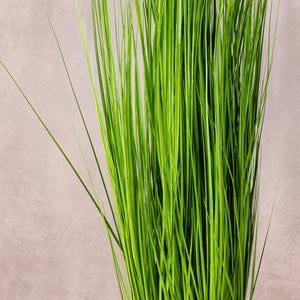 Artificial White Pampas Grass 150cm (W/O pot)