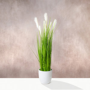 Artificial White Pampas Grass 150cm (W/O pot)
