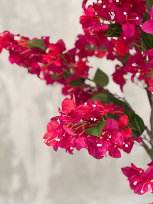 Artificial Bougainvillea Tree Plant 180cm (W/O POT)