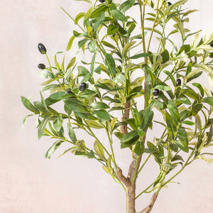 Artificial Olive Tree Plant 150cm (W/O pot)