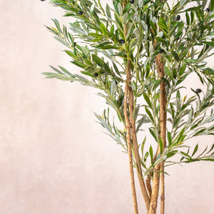 Artificial Olive Tree - Natural Multi Trunk 180cm (W/O pot)