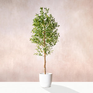 Artificial Olive Tree Natural Trunk 180cm (W/O pot)
