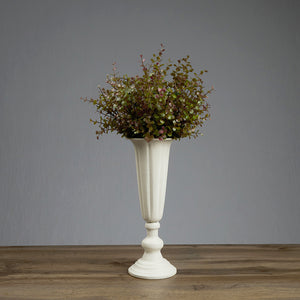 Micro Eucalyptus shrubs in a cream vintage cup