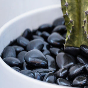 Tree-Pot Installation Service