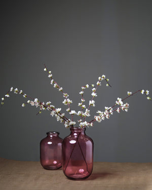 Purple Vase