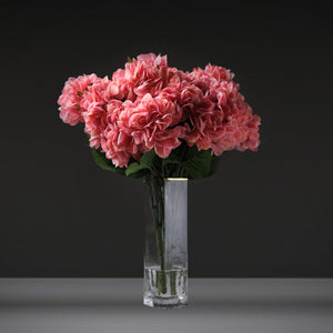 Hydrangea