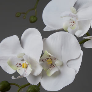 Artificial Round Orchid Arrangement in a Glass Vase