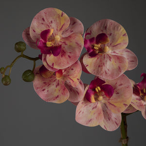 Artificial Triple Pink Orchid in Cubic Glass Vase