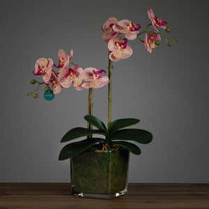Artificial Double Pink Orchid in Cubic Glass Vase