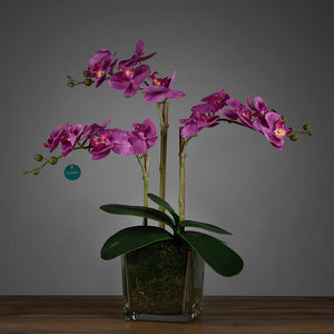 Artificial Triple Purple Orchid in Cubic Glass Vase