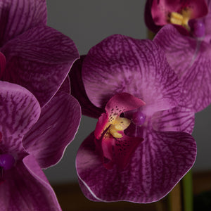 Artificial Triple Purple Orchid in Cubic Glass Vase