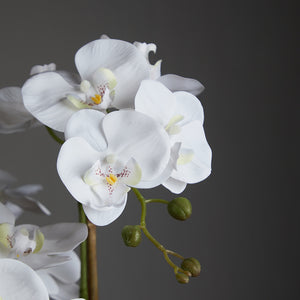 Artificial Long Orchid Arrangement in Acrylic Vase