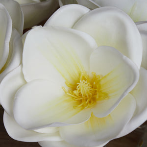 Rectangular Magnolia Arrangement in Acrylic Vase