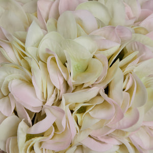 White Hydrangea Arrangement medium size