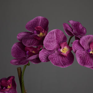 Artificial Double Purple Orchid in Cubic Glass Vase