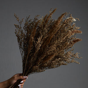 Bare Brown flower bundle