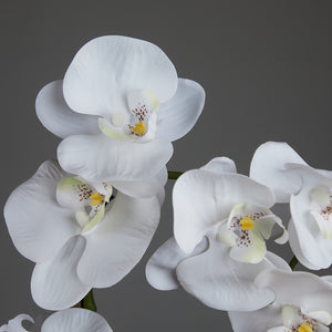 Artificial Double White Orchid in Cubic Glass Vase