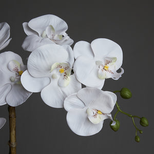 Artificial Triple White Orchid in Cubic Glass Vase