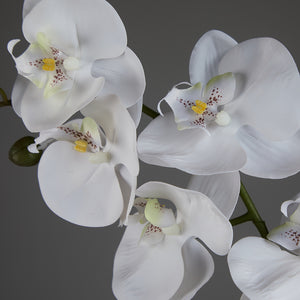 Artificial Triple White Orchid in Cubic Glass Vase