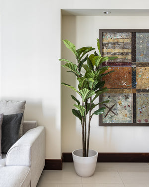 Artificial Fiddle Tree Plant 170cm (w/o pot)