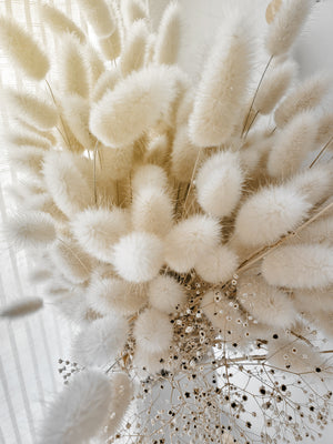 White Bunny Tails