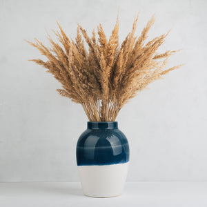 Pampas Grass Bundle of 5 stems Natural Brown