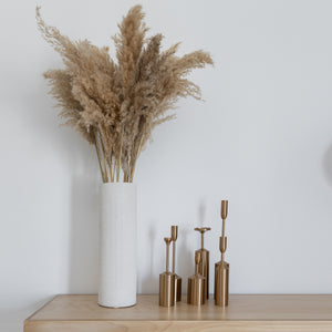 Pampas Grass Bundle of 10 stems